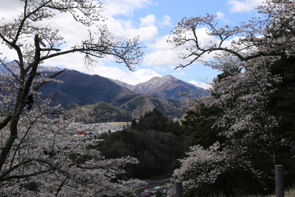お城山(勝山城跡)の桜と富士山の眺望
