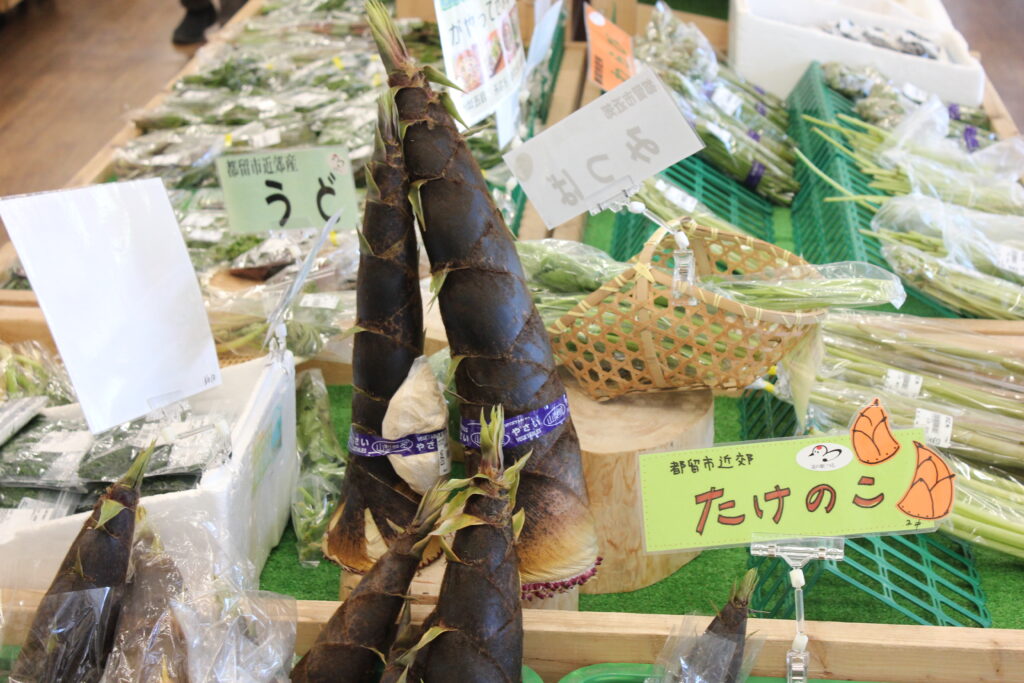 道の駅つるの直売所に並ぶ春のたけのこ（地元生産者直送）