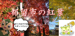 【季節の見どころ】秋のおすすめ！都留市の紅葉スポット(2025年)