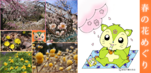 【季節のおすすめ】春のお出かけ・お散歩に🌸都留の花めぐり（2026年）