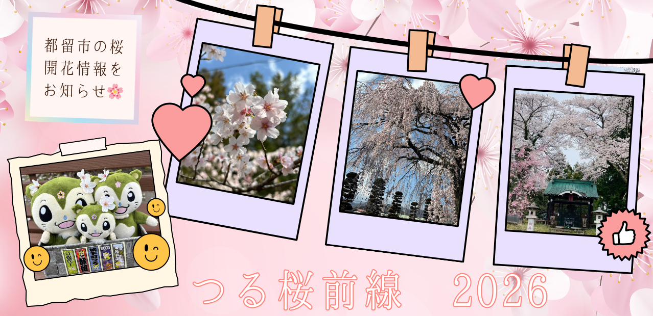山梨県都留市の桜開花情報をお知らせ。2026年版の都留市内での桜の開花状況をご紹介しています。